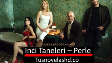 Inci Taneleri – Perle