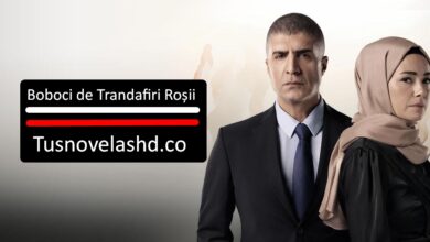 Boboci de Trandafiri Roșii