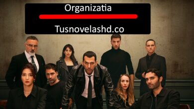 Organizatia